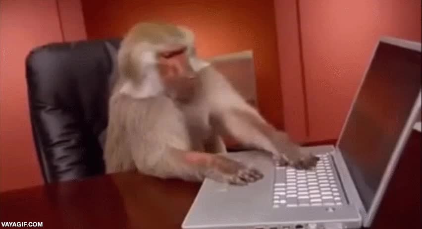 El mono que programa mejor que Desi imputado por corrupción