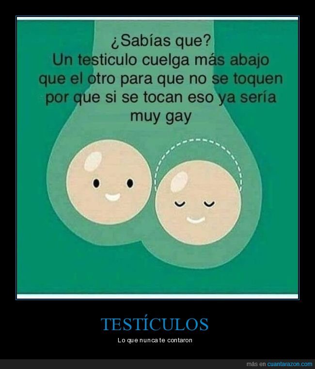 Фаллоимитатор С Мошонкой И Двигающейся Плотью