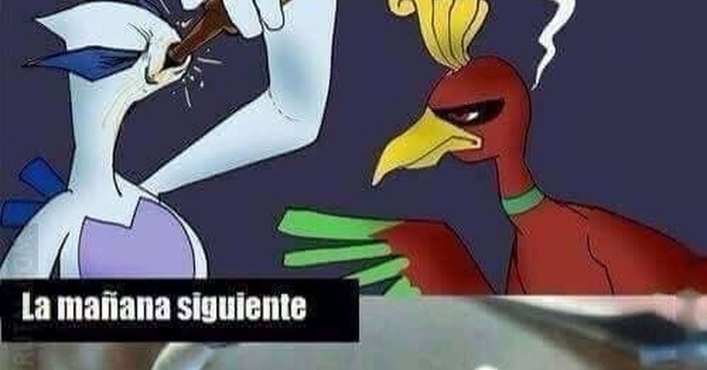 Cuánto cabrón / No es bueno beber una noche antes de algo Cuánto cabrón / No es bueno beber una noche antes de algo