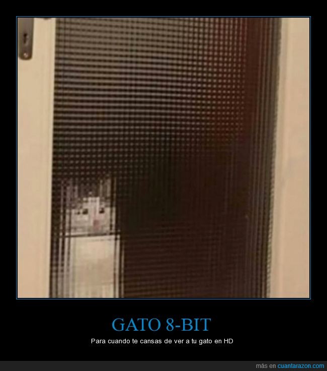 CR_1008845_f4f9f185bc1f4ed7955a2167b463ce5f_gato_8_bit.jpg