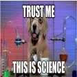 sciencedoge
