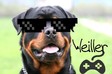 weiller