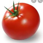 tomatesparraos