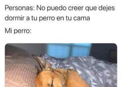 Enlace a Es él el que me deja dormir juntos