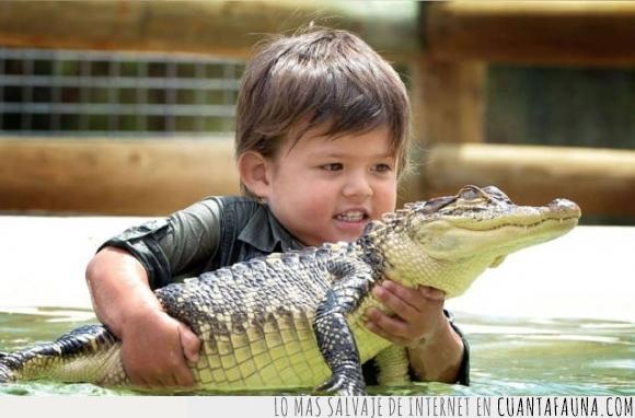 bebé,cocodrilo,cria,crio,mini Steve Irwin,niña,niño,peligro