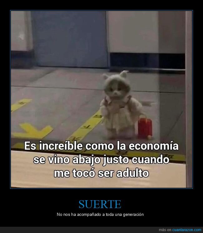 adulto,economía