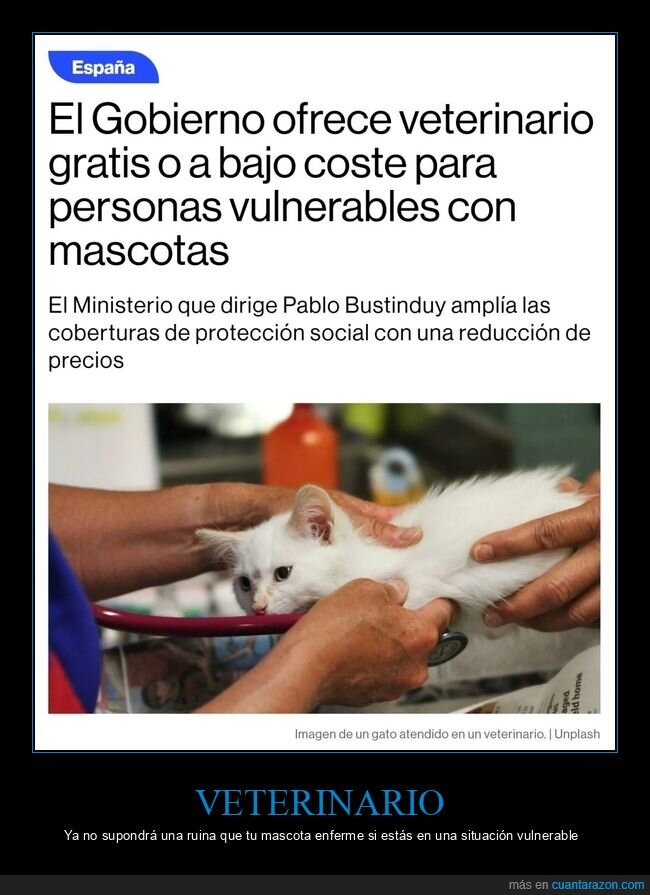 veterinario,gratis,mascotas