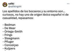 Enlace a Los apellidos del entorno de Vox