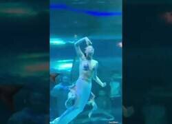 Enlace a Pez gigante ataca a una sirena durante su actuación