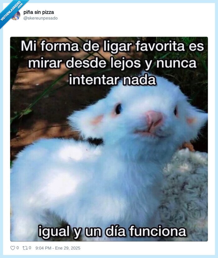 ligar,mirar,desde lejos,timidez