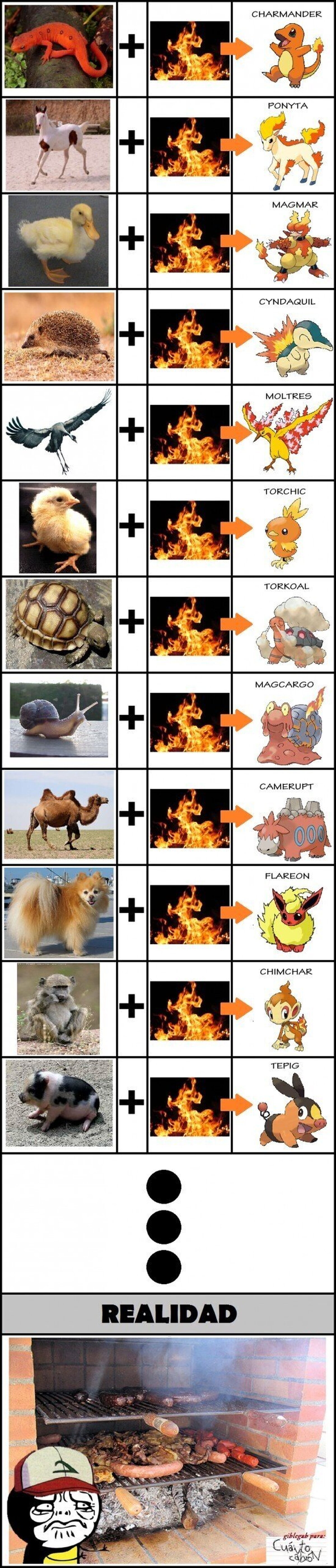 Pokémon de fuego