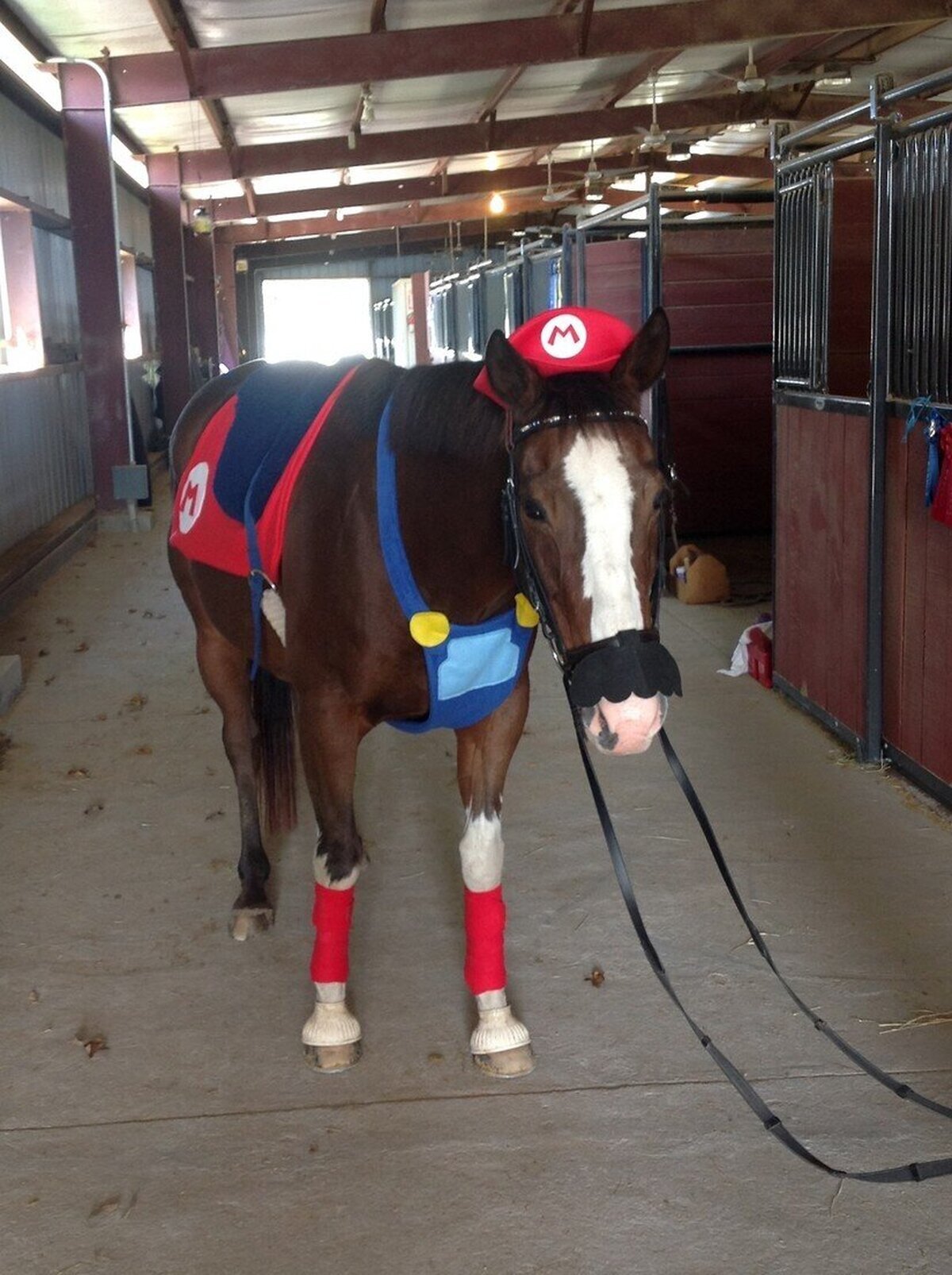 It's-a me! Epona!