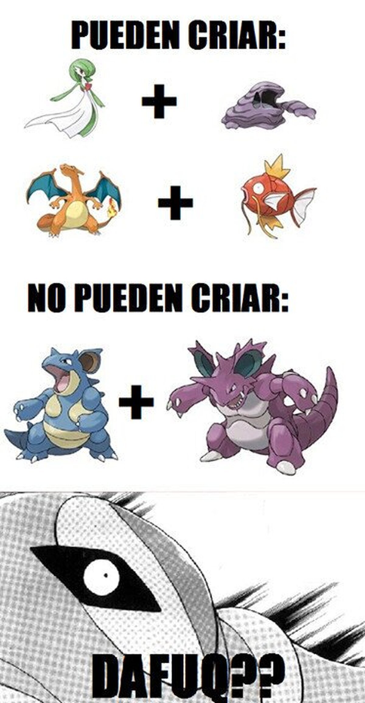 La vida ya no tiene sentido
