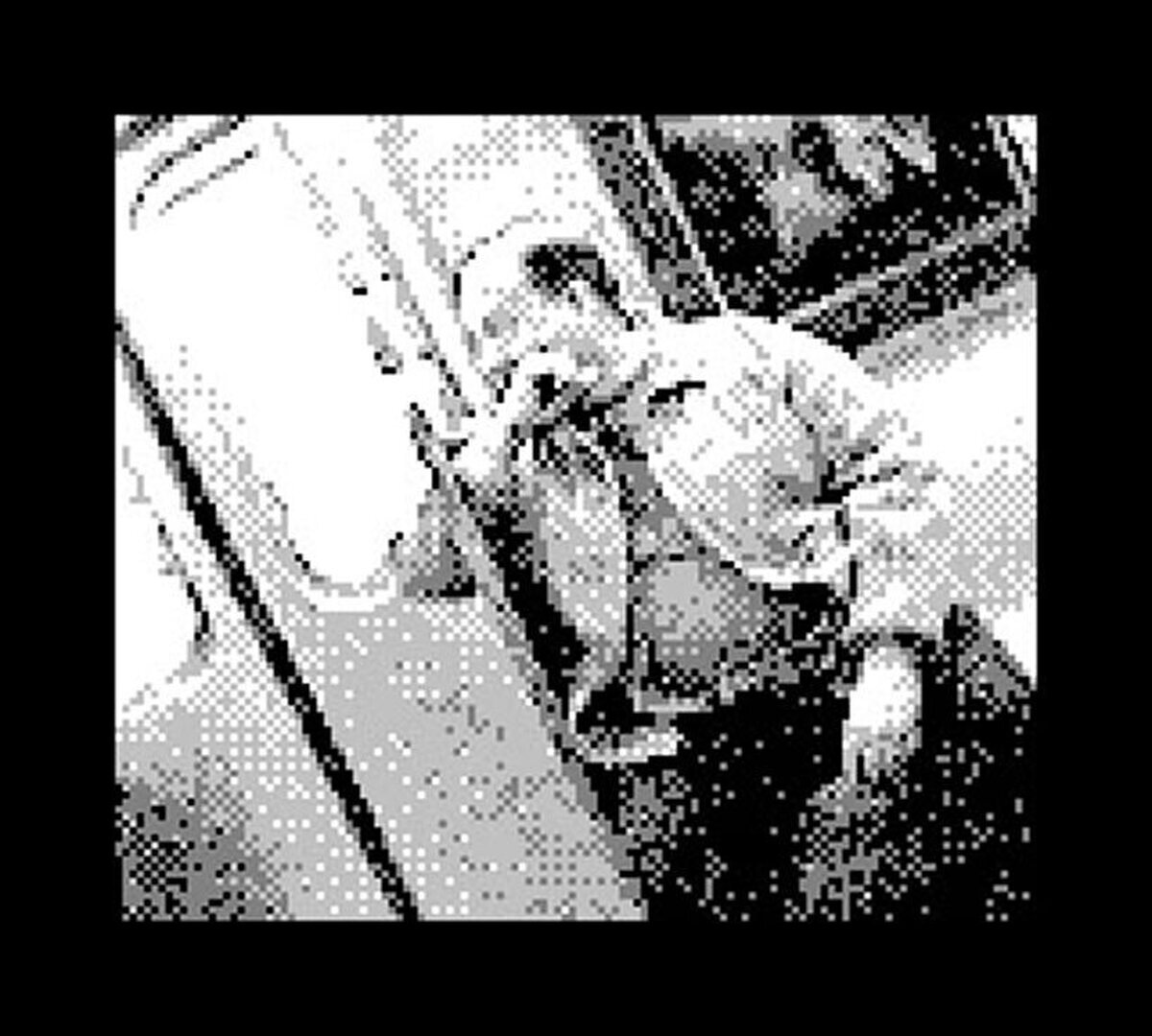 Las fotos tomadas con la Game Boy Camera vuelven a estar de moda