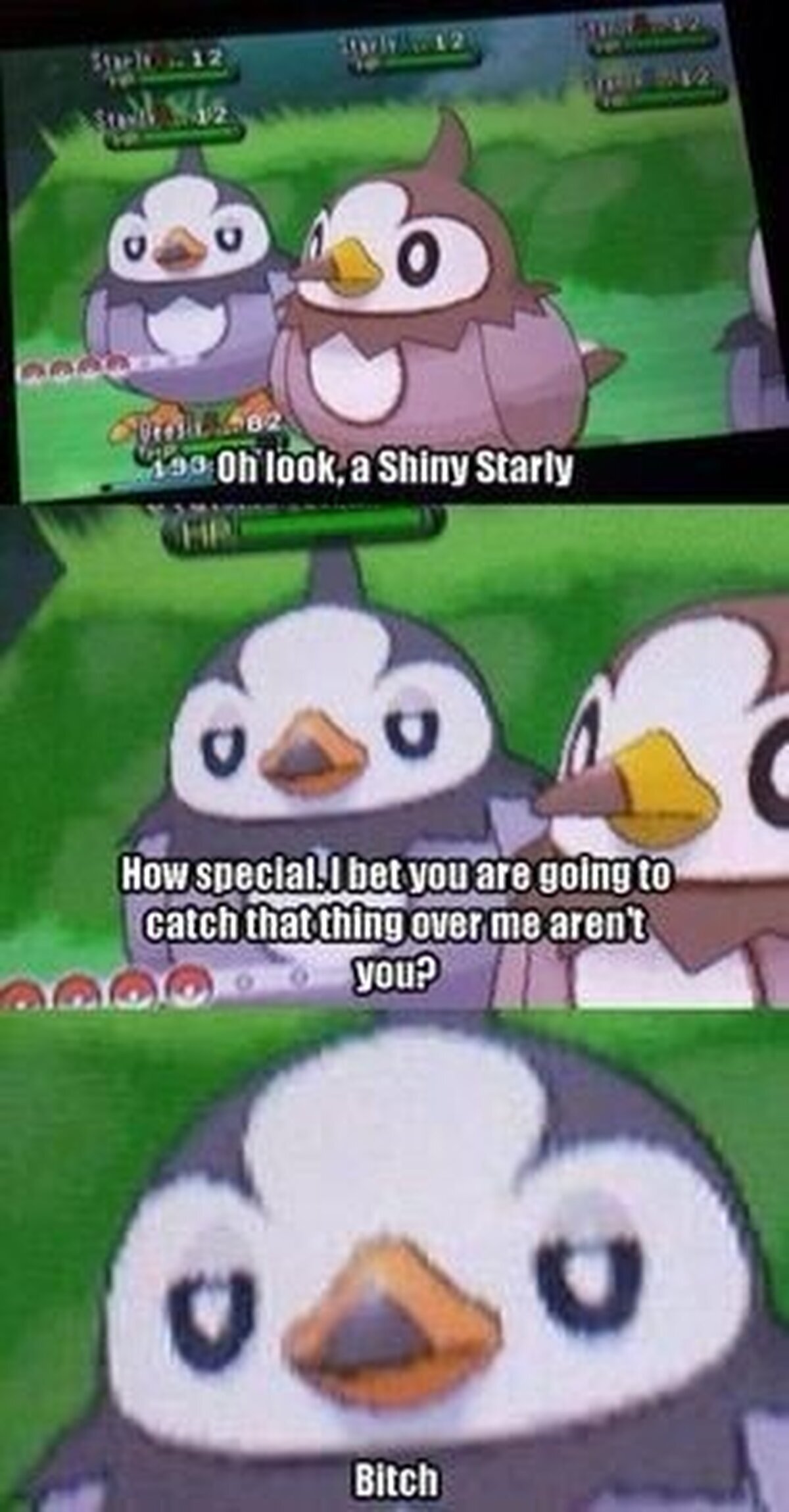 La ventaja de ser Shiny