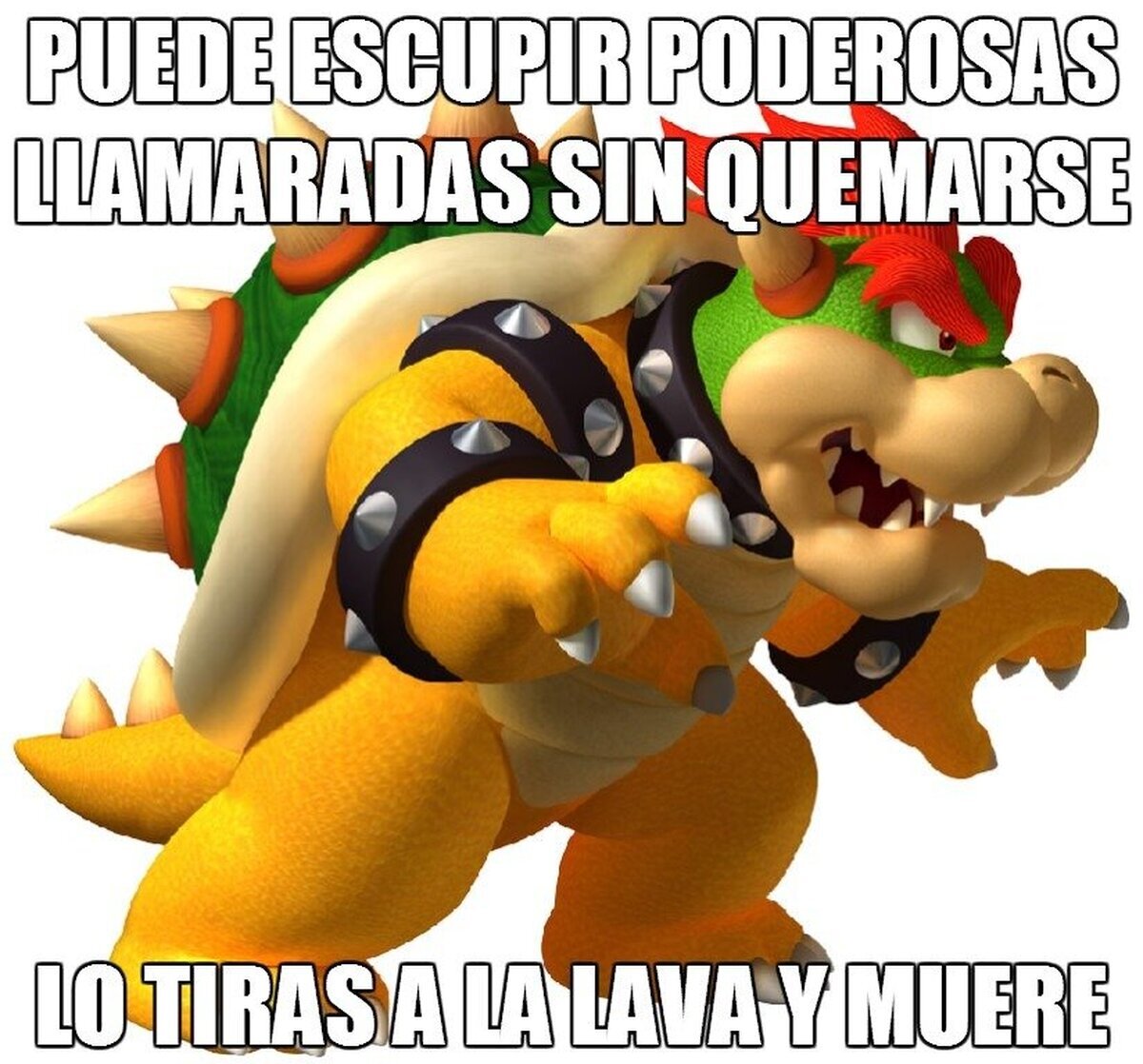 Bowser y su resistencia selectiva a las altas temperaturas