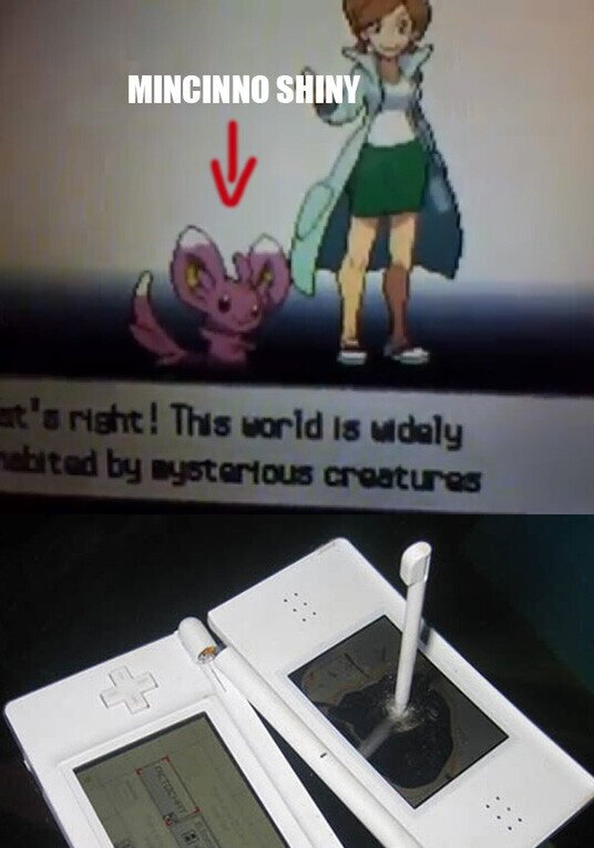 El peor momento para que aparezca un Pokémon Shiny