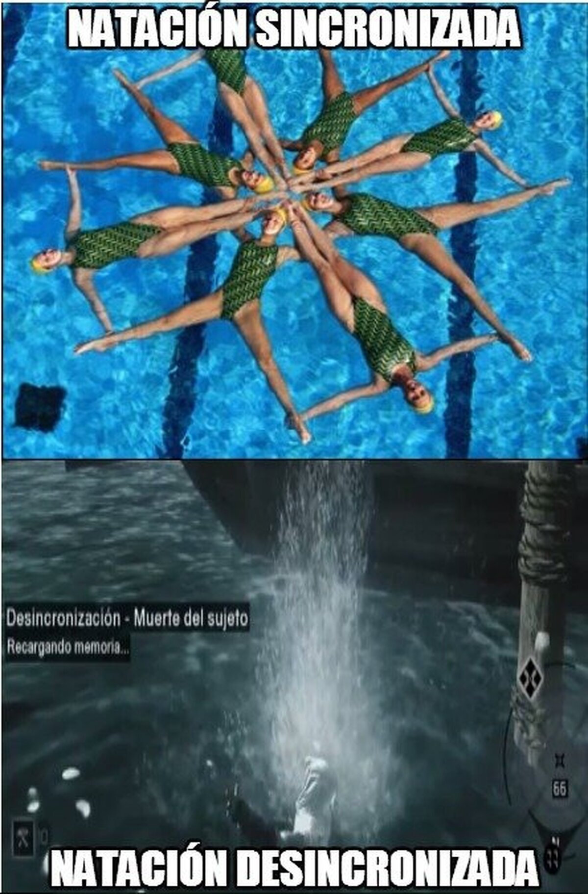Las diferentes disciplinas de la natación