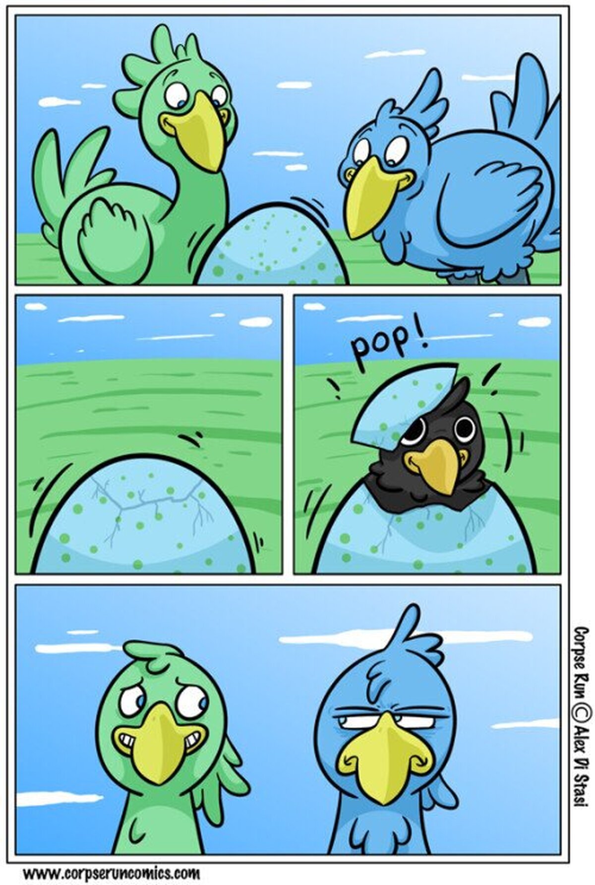 Chocobos y sus problemas 