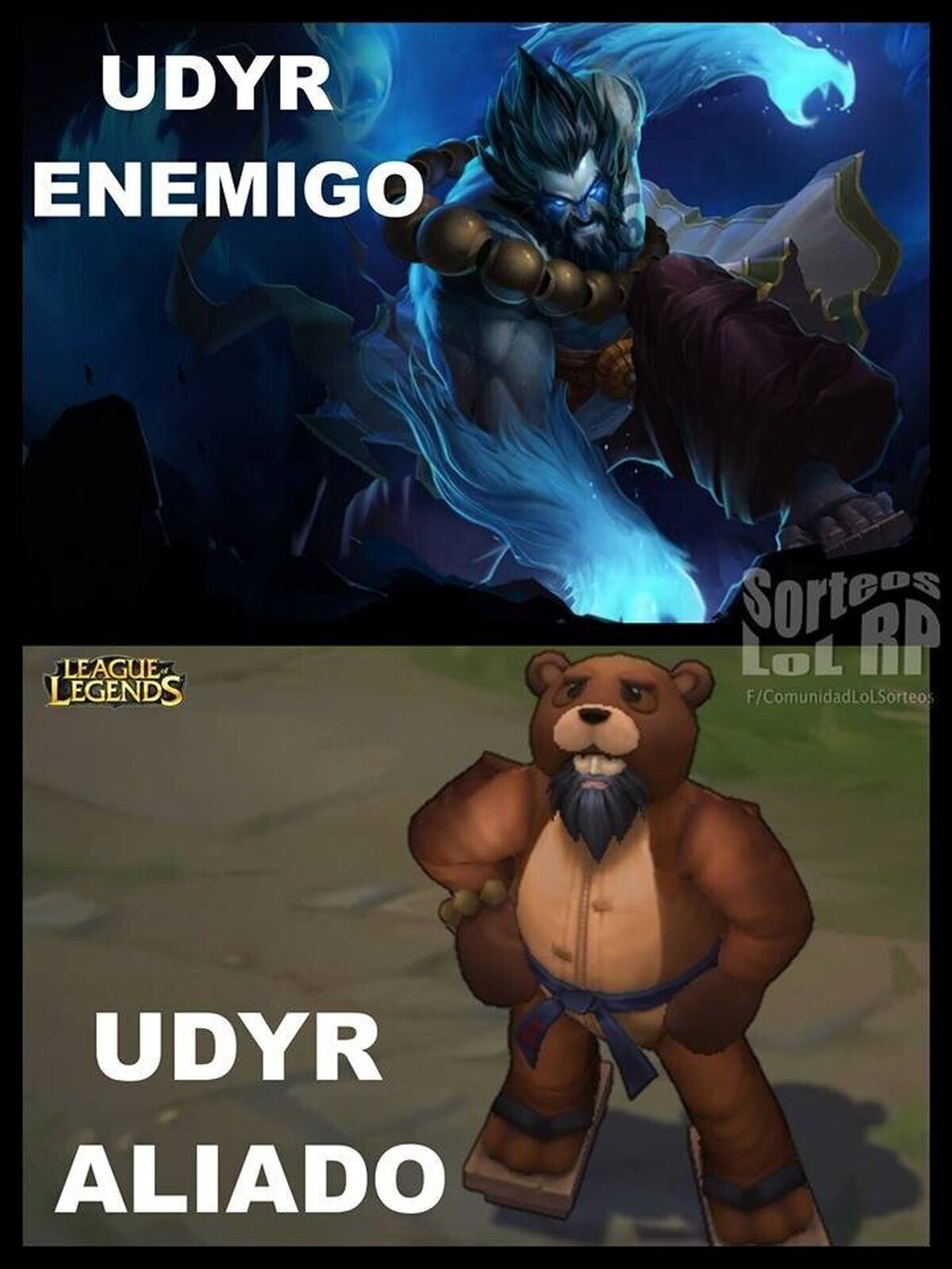Udyr dependiendo del equipo
