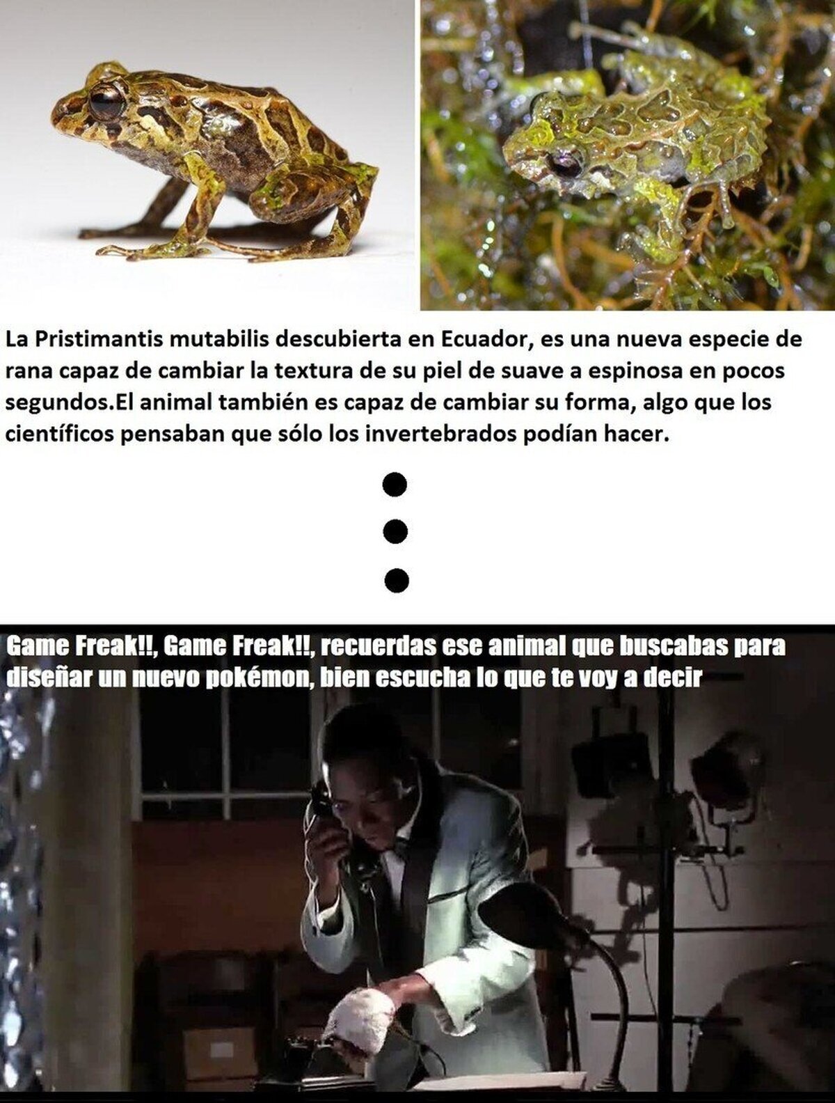 Y as&iacute; es c&oacute;mo hacen los Pok&eacute;mon