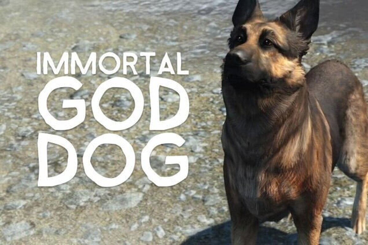 El perro de Fallout 4 no puede morir