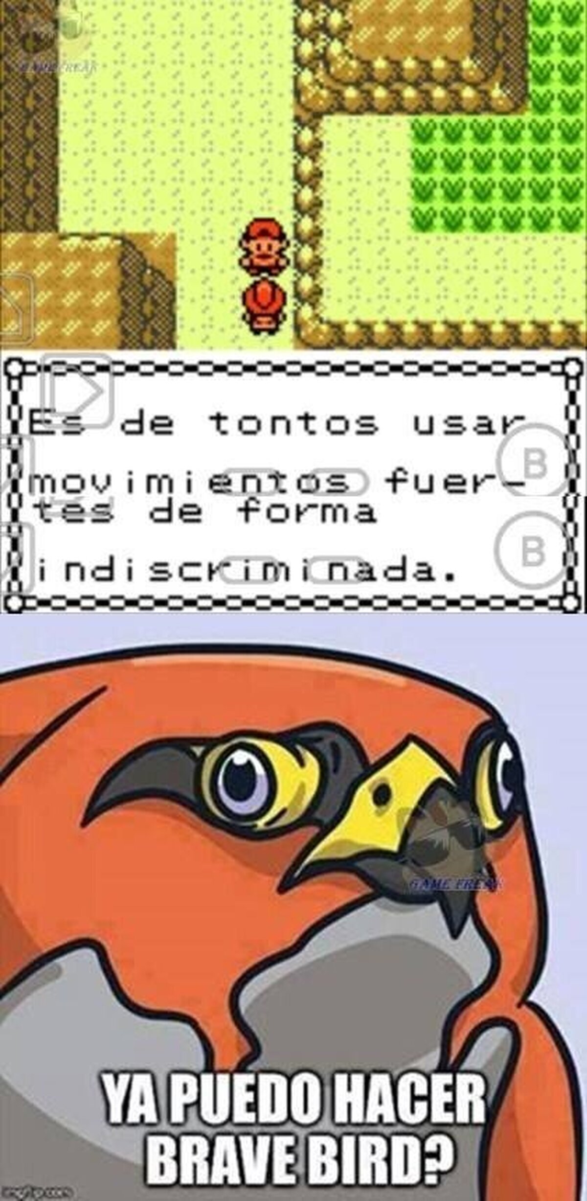 A ver si aprendemos, Talonflame