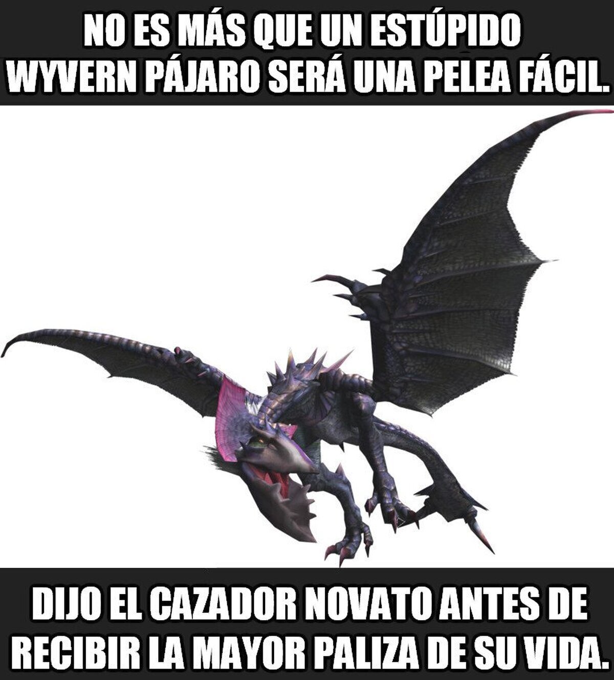 Nunca juzgues un monstruo por su categoría