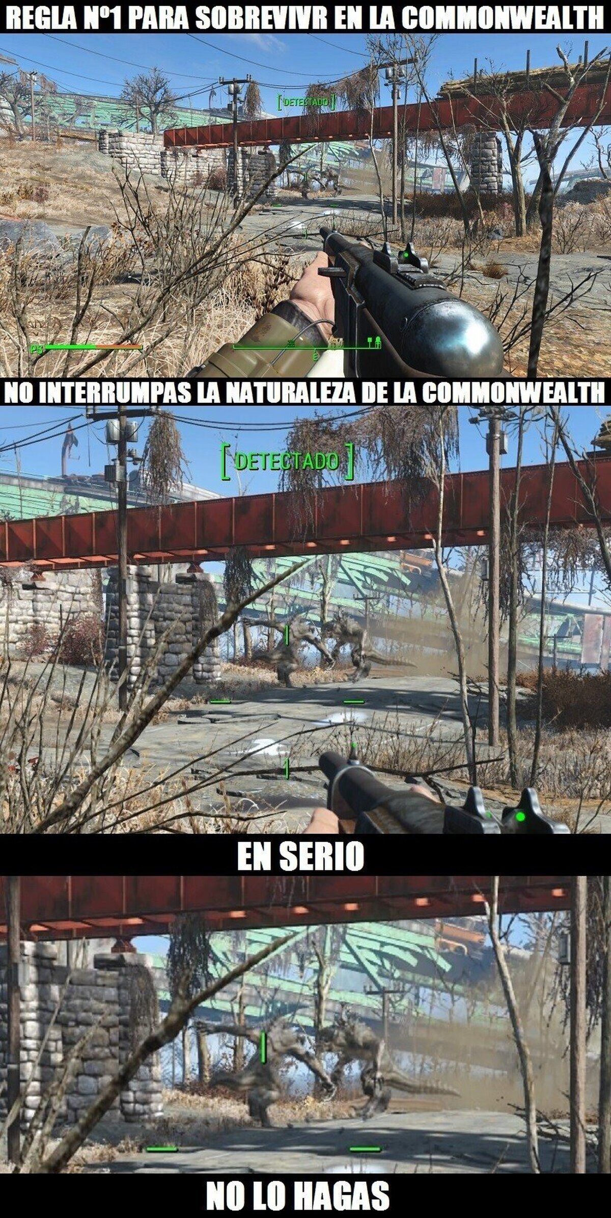 Tú no te metas y saldrás ganando