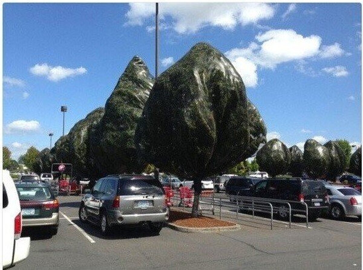 Cuando tienes que jugar con graf&iacute;cos m&iacute;nimos hasta en la vida real