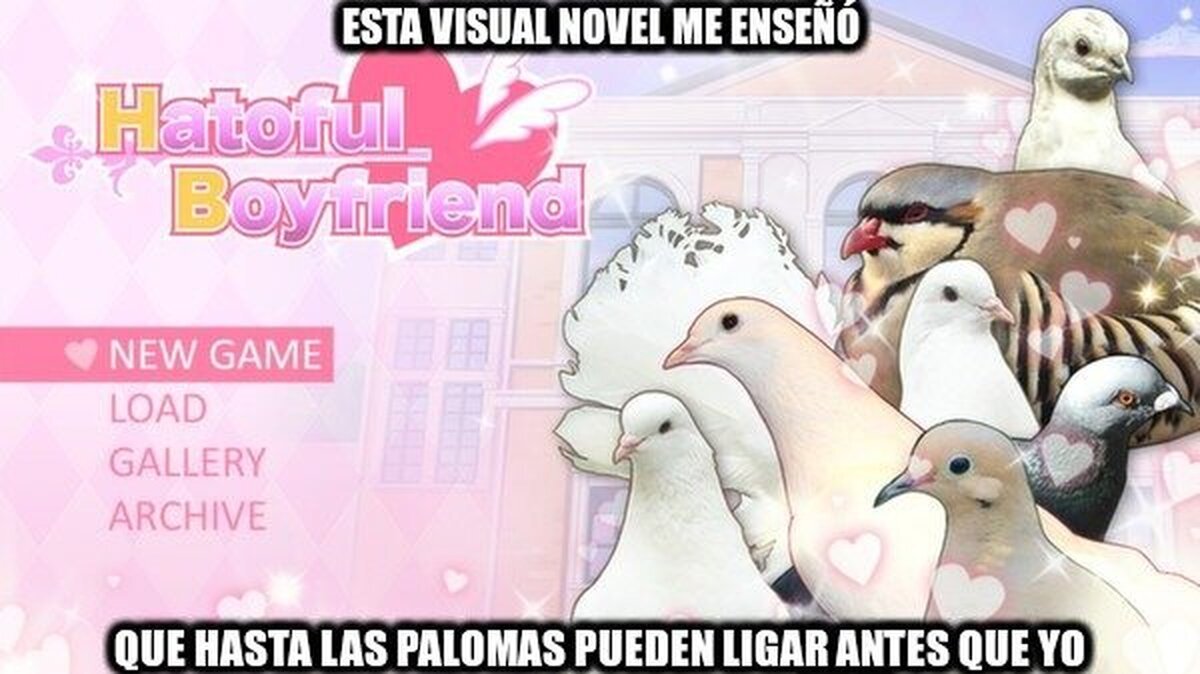 Las palomas tienen más vida social que yo
