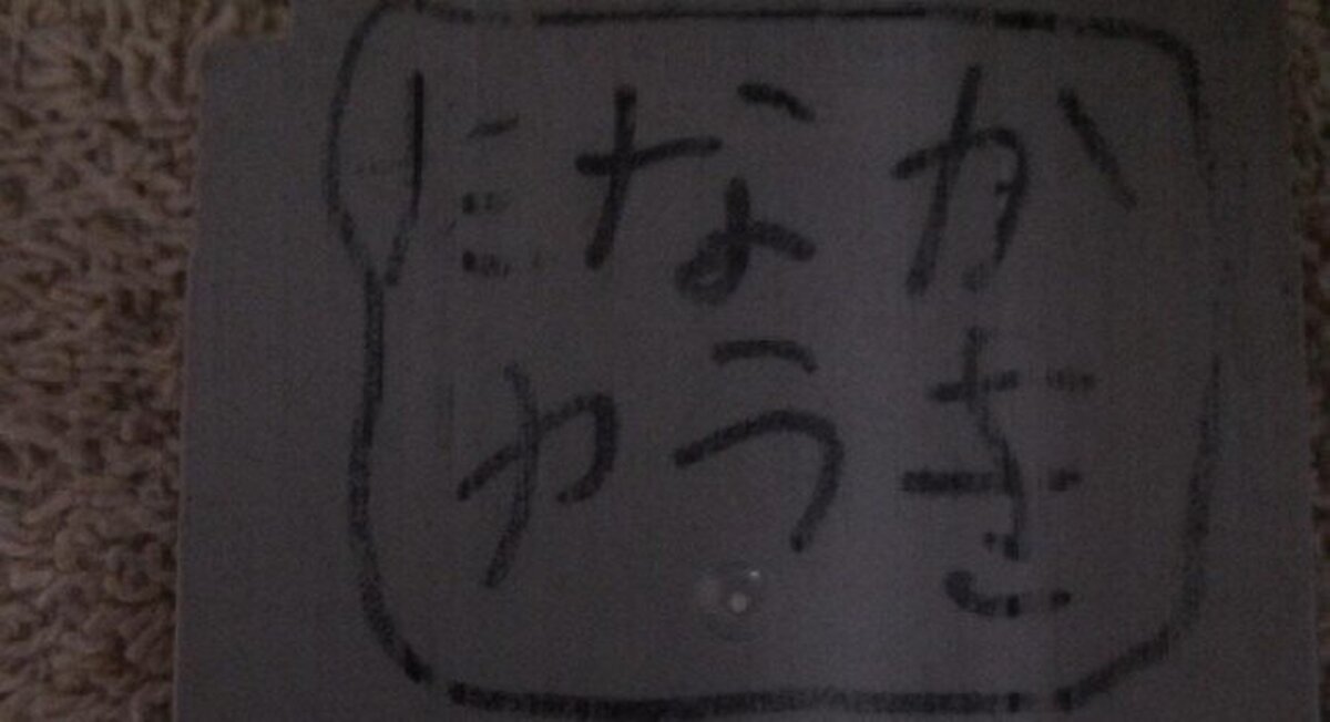 Encuentra un cartucho de Pok&eacute;mon que perdi&oacute; en un parque de atracciones 18 a&ntilde;os despu&eacute;s