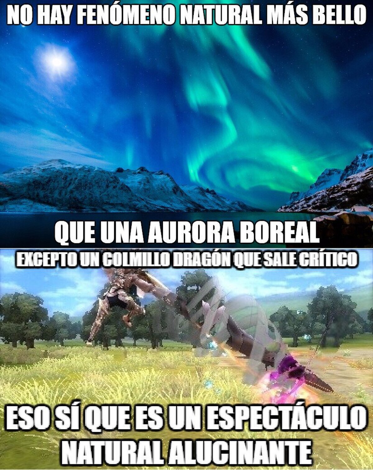 Espectáculos como este, muy pocos