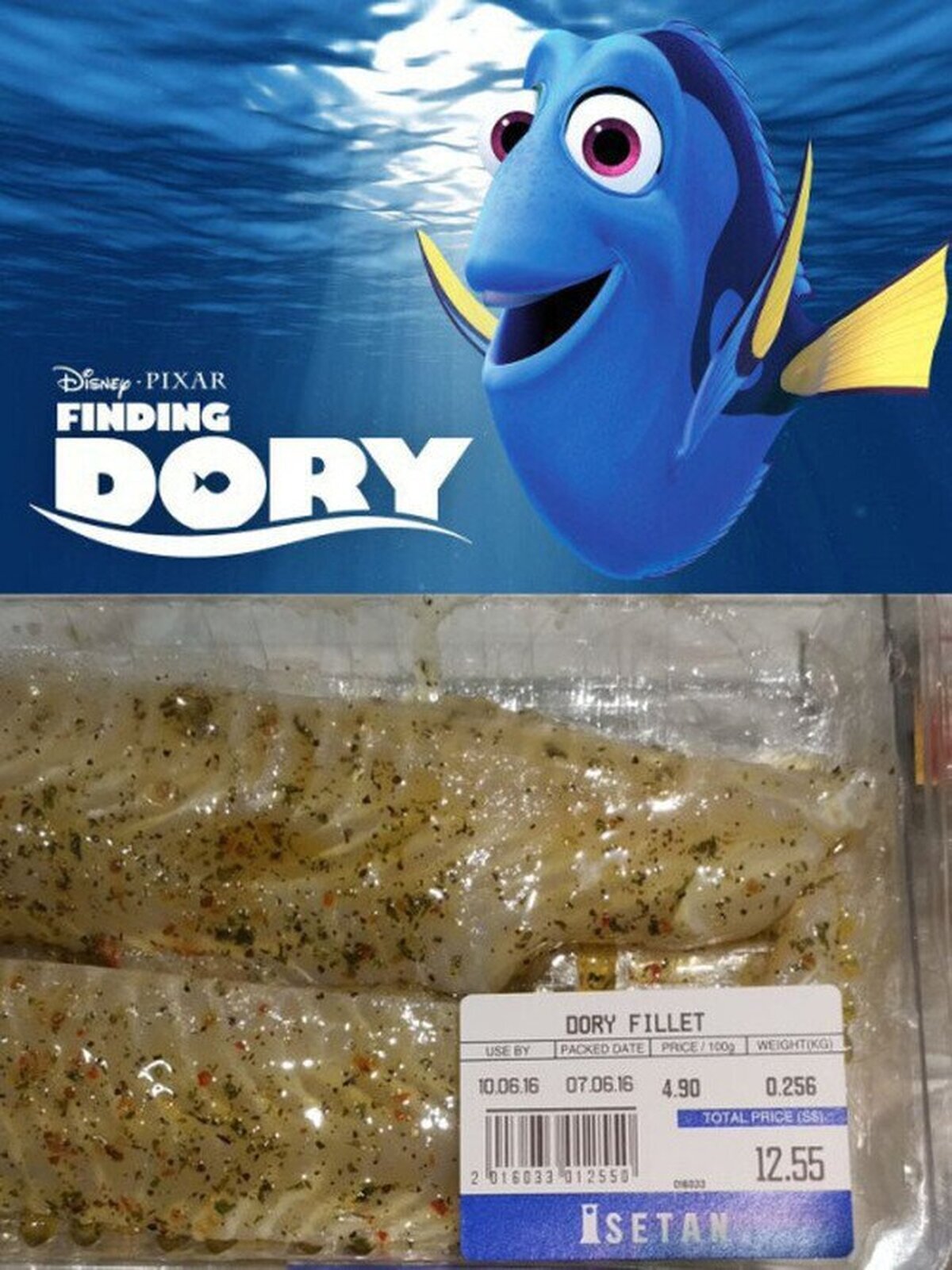 Parece que alguien ya ha encontrado a Dory