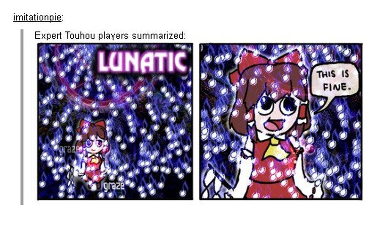 Los jugadores expertos de la serie Touhou resumidos en una sola imagen