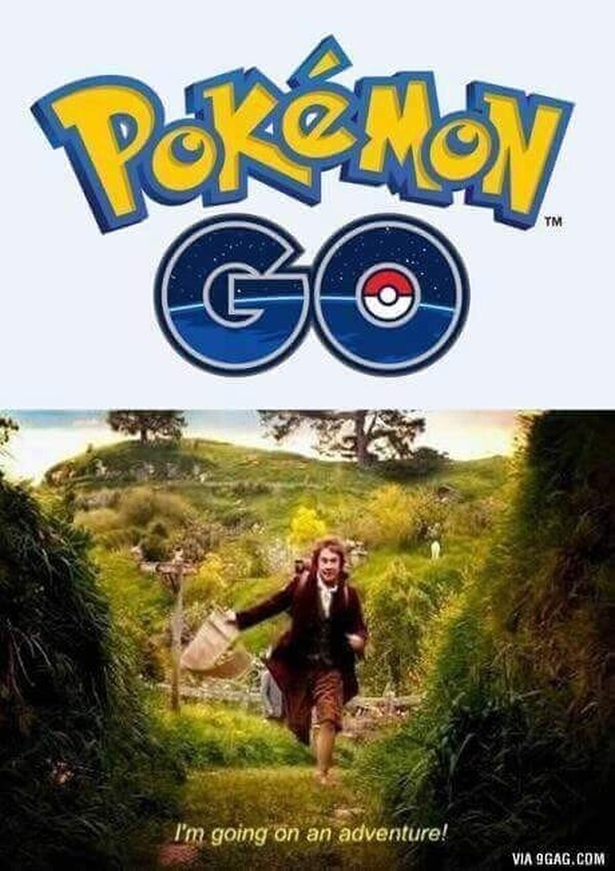 Lo que haremos cuando salga Pokémon Go