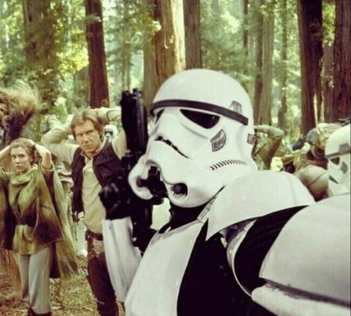 Cuando capturas a los rebeldes y te haces un selfie
