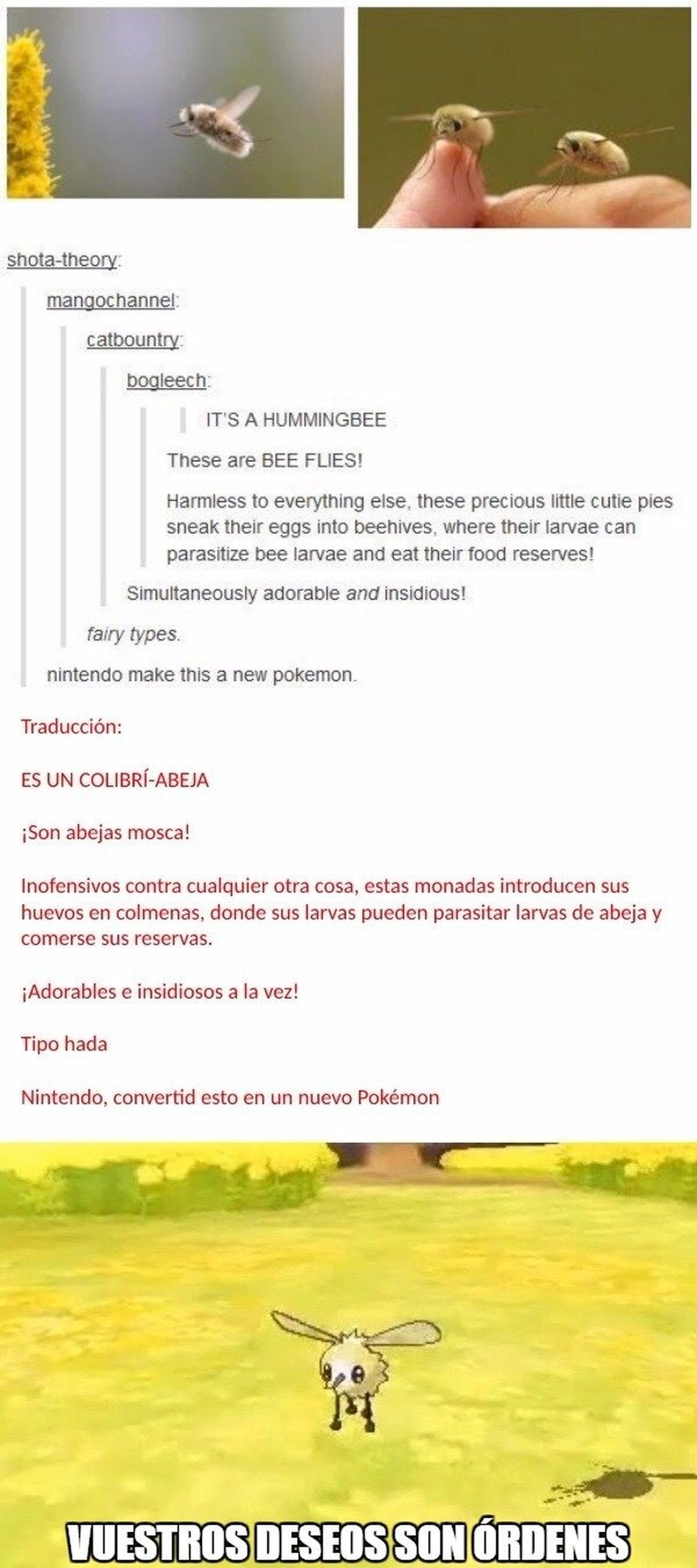 Game Freak hace tus sueños realidad