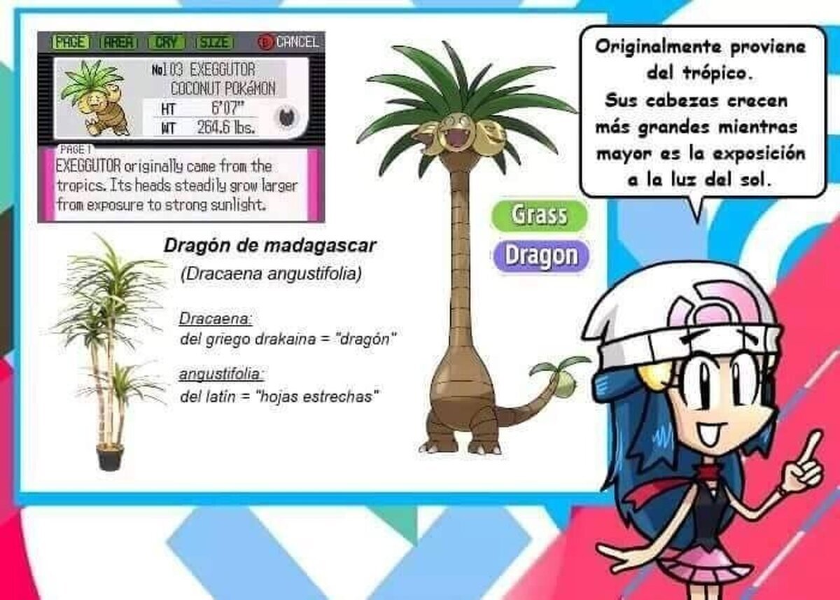 Para los que se pregunten por qué el Exeggutor de Alola es de tipo Dragón