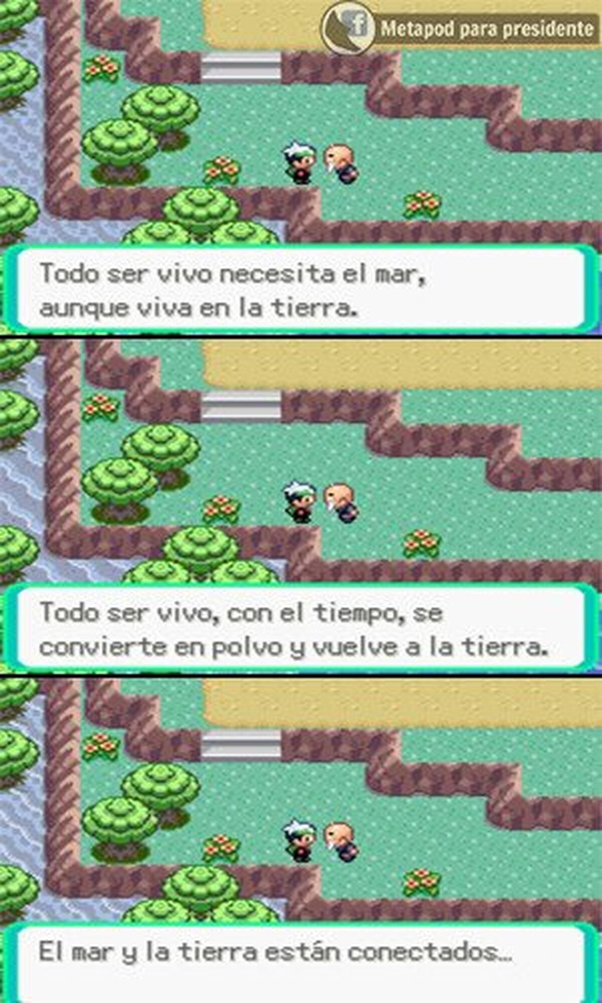 Frases filosóficas de Pokémon que ni en el colegio te enseñan.