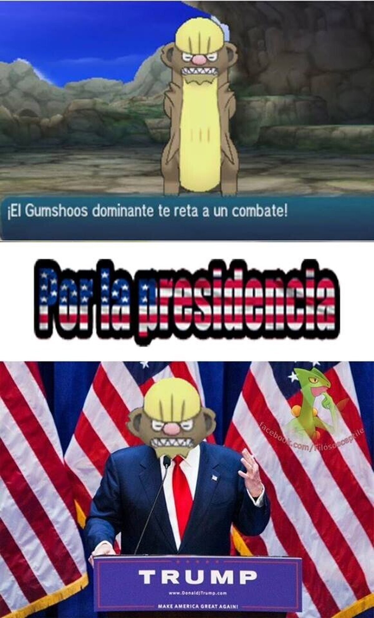 Si no ganas, se construiran muros para que los Ludicolos y Hawlucha no lleguen a Alola