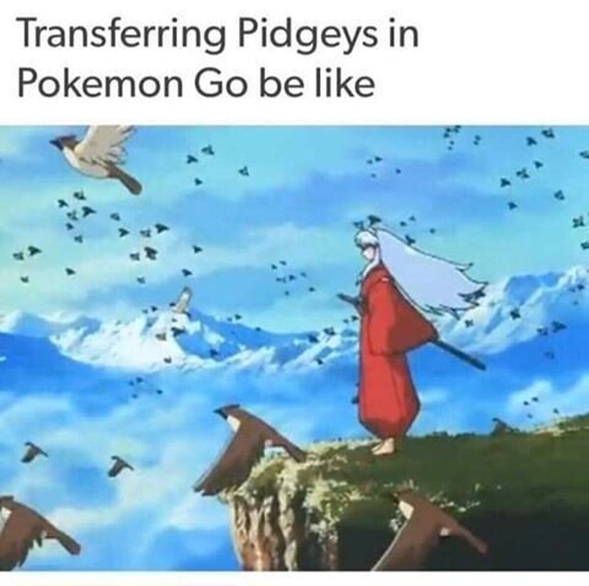 Transferir Pidgeys en Pokémon GO es como...