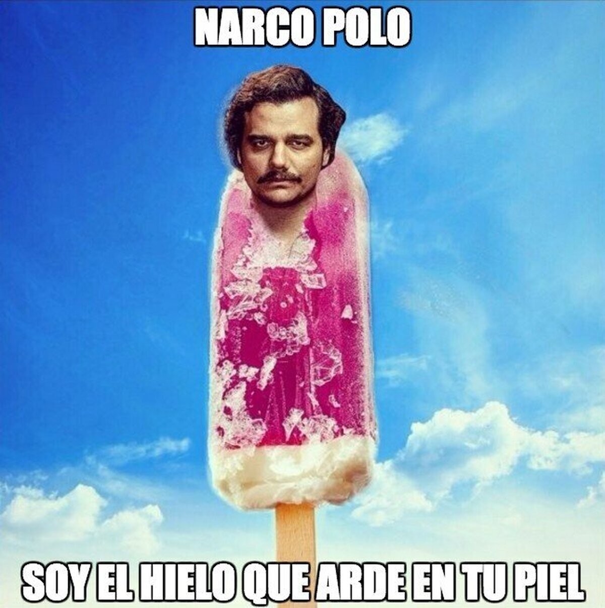 NARCO POLO