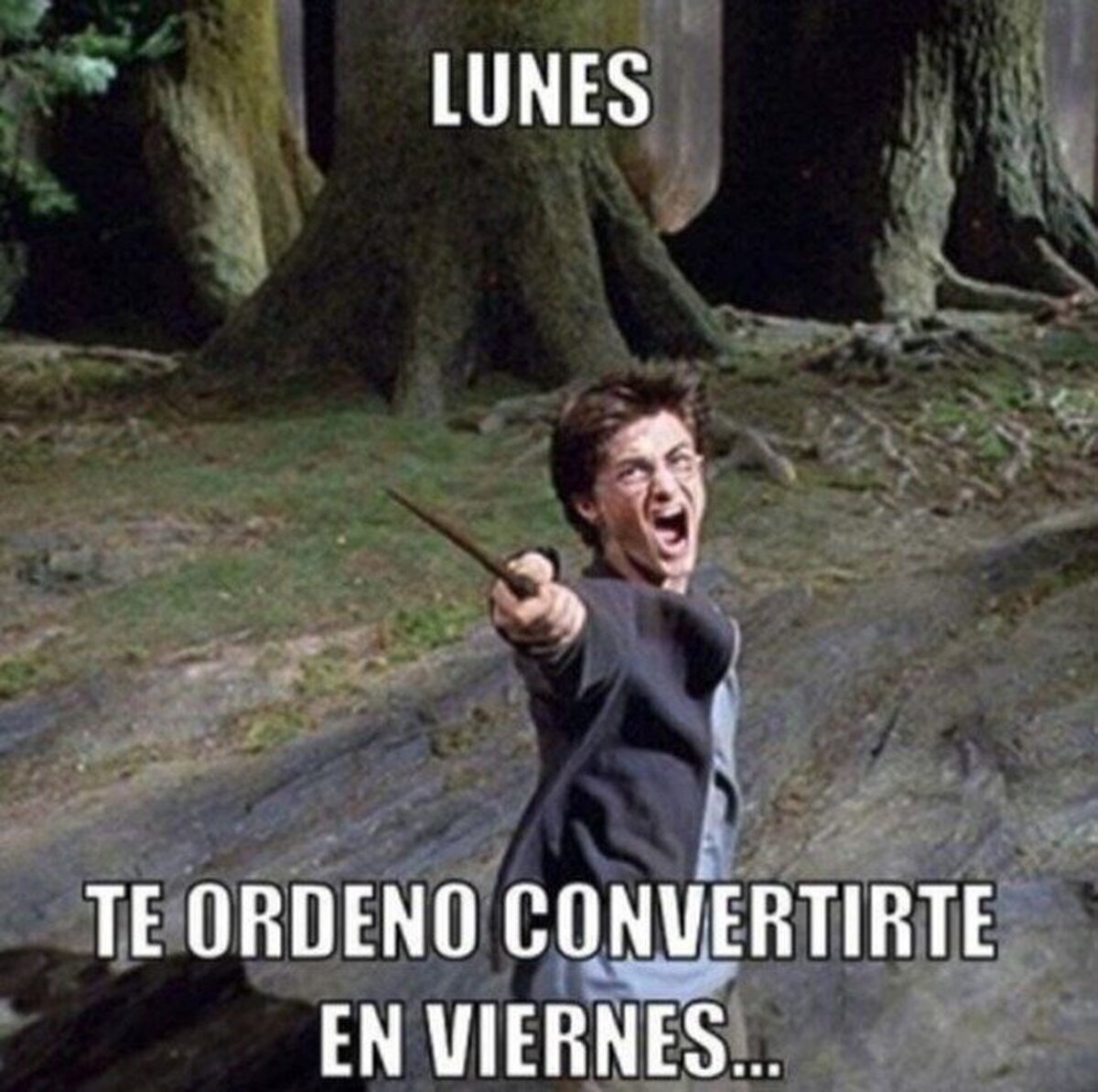 No creo que funcione