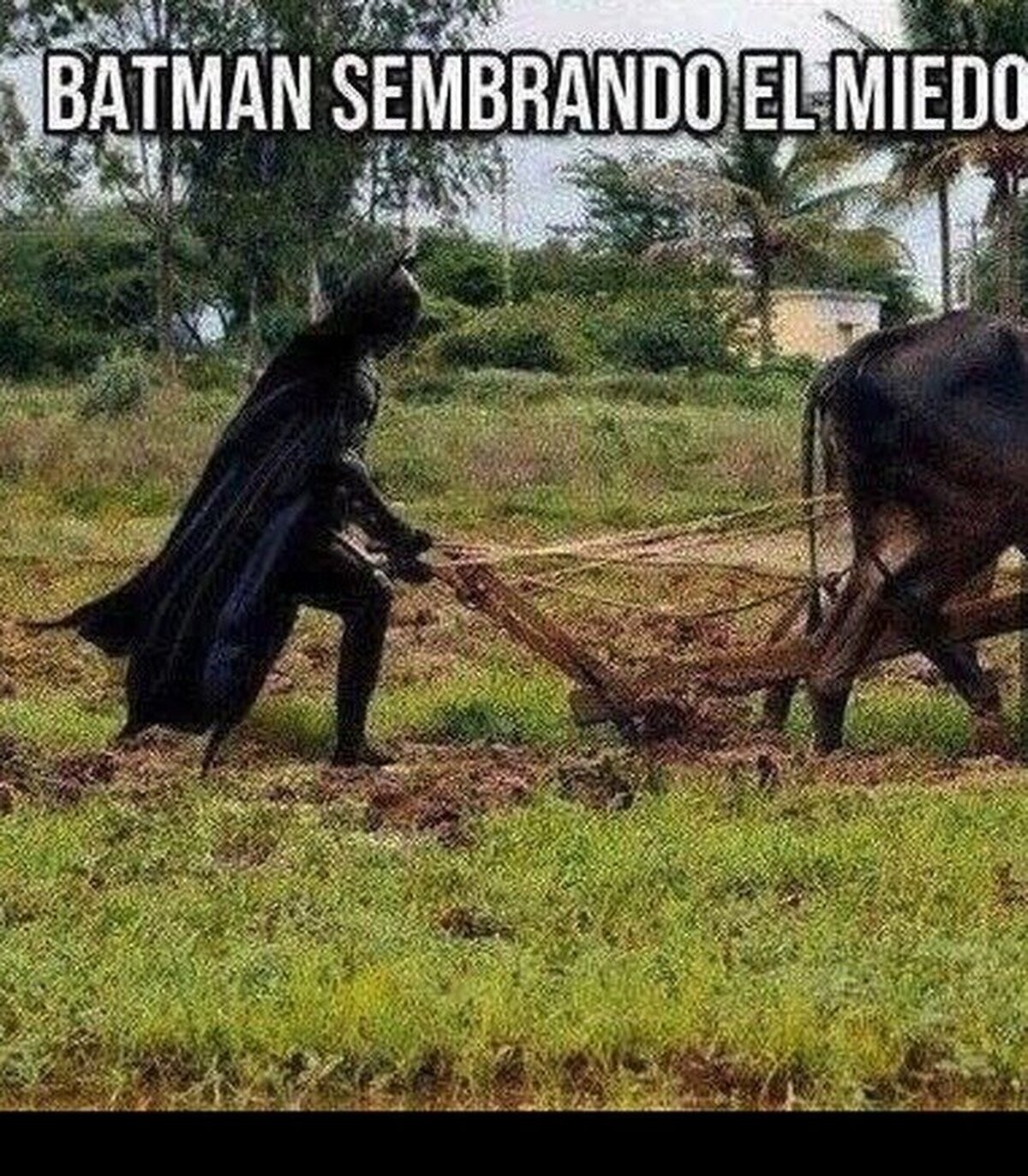El chistaco del día