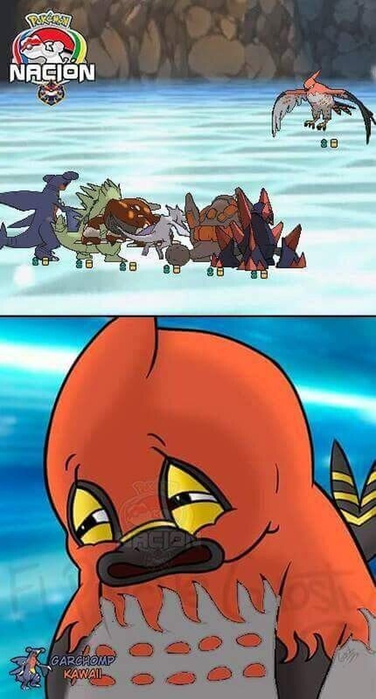Esto le pasa por ser tan pájaro osado