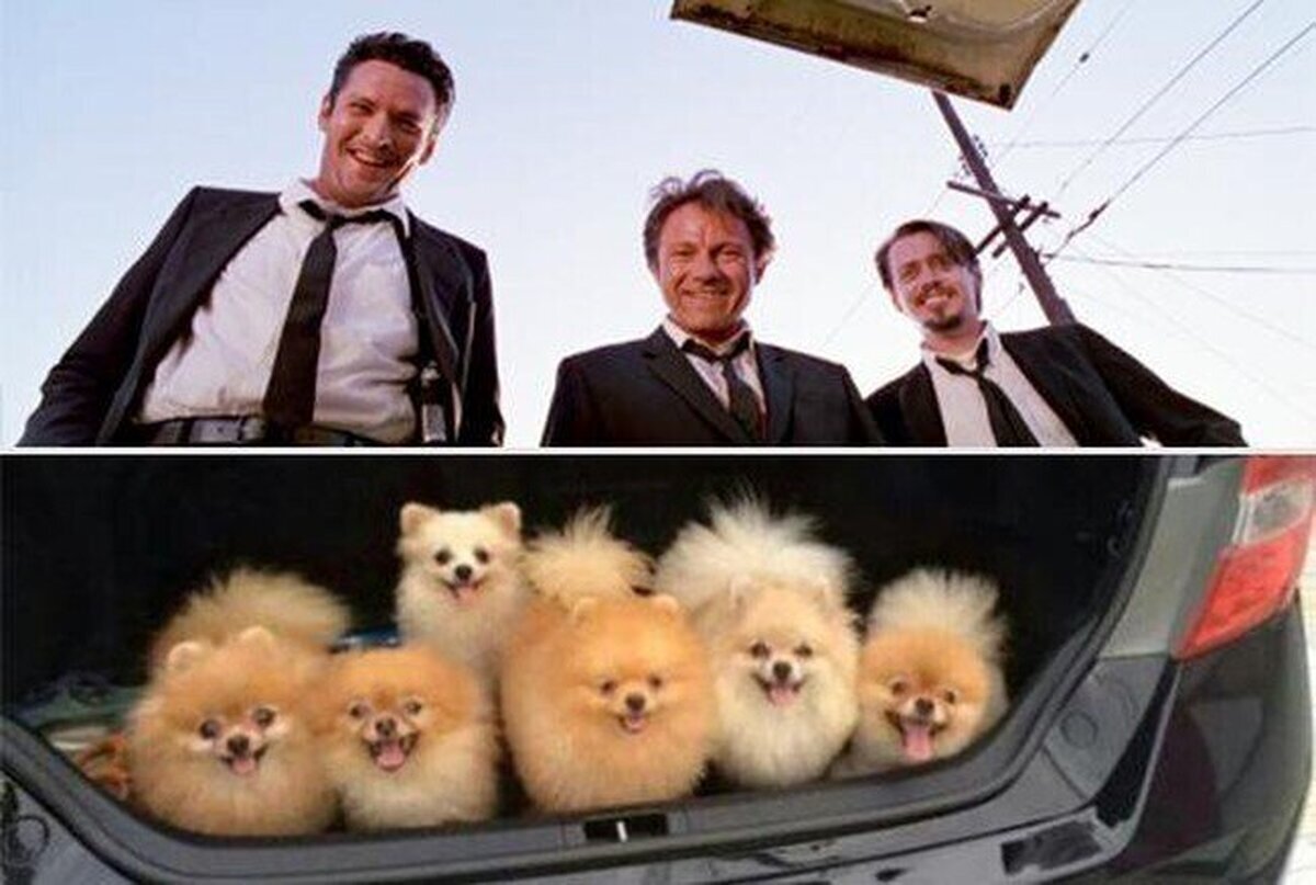 Reservoir Dogs
