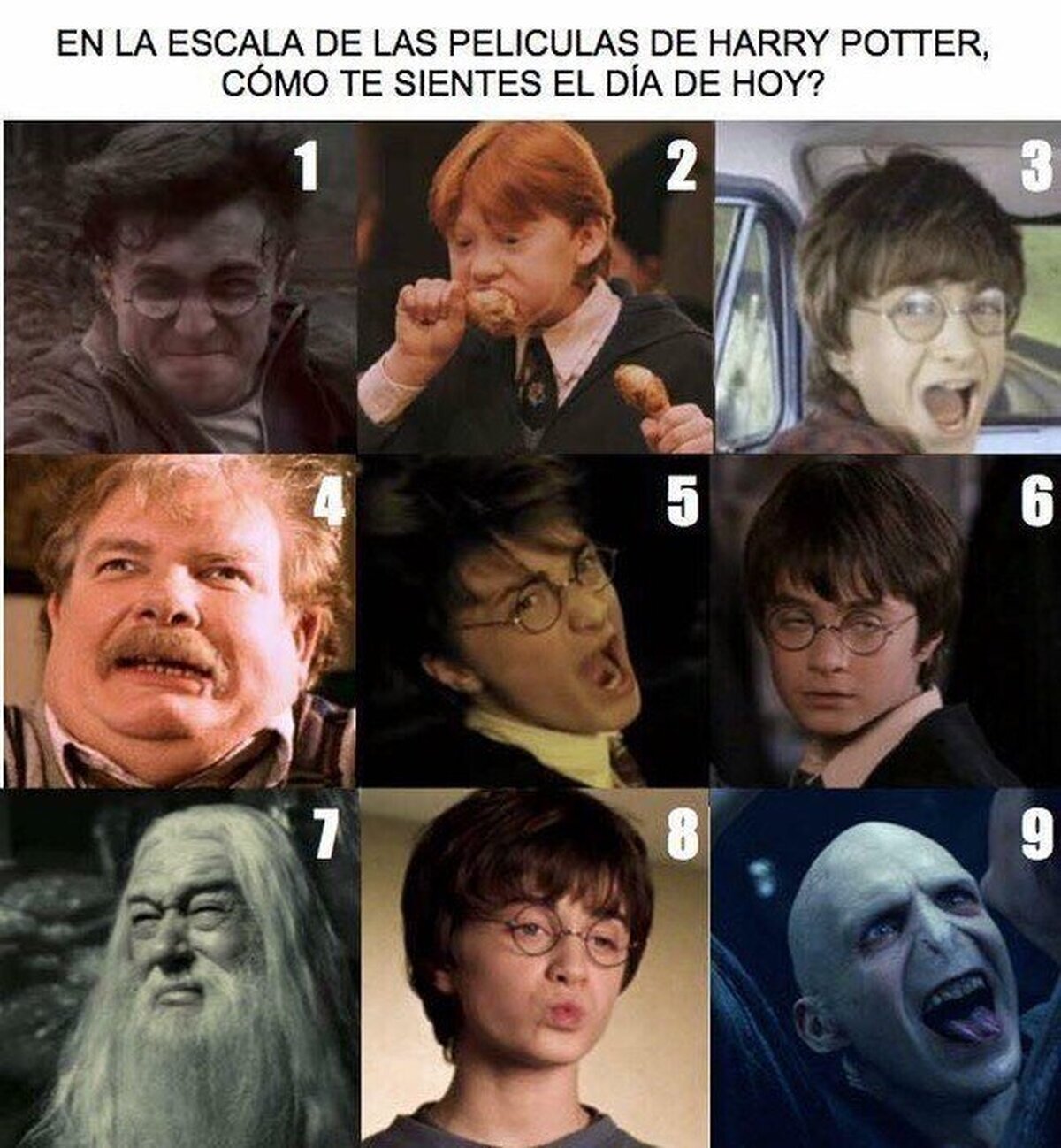 Responde de forma sincera