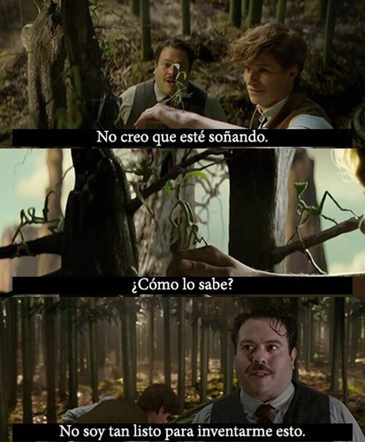 Yo si algún día descubro el mundo mágico.