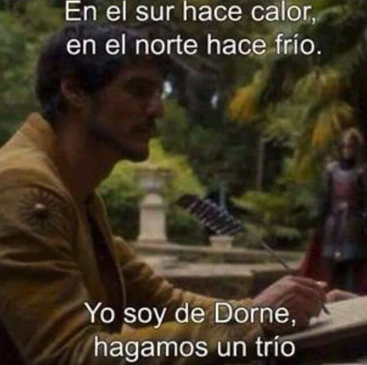 Acción Poética Dorniense